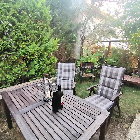 Attic Catnip Apartment