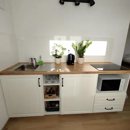 公寓 Attic Catnip 布拉迪斯拉发