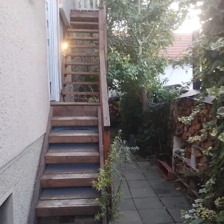 Apartment Attic Catnip *